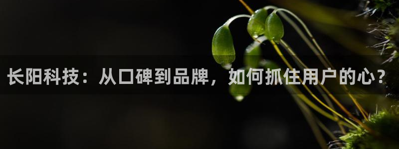 金年会官方在线登录