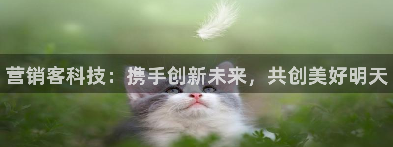 金年会电子游戏app官方网站