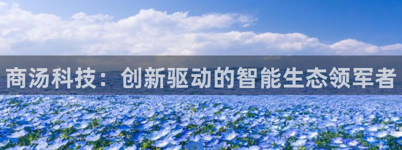 金年会官方入口app