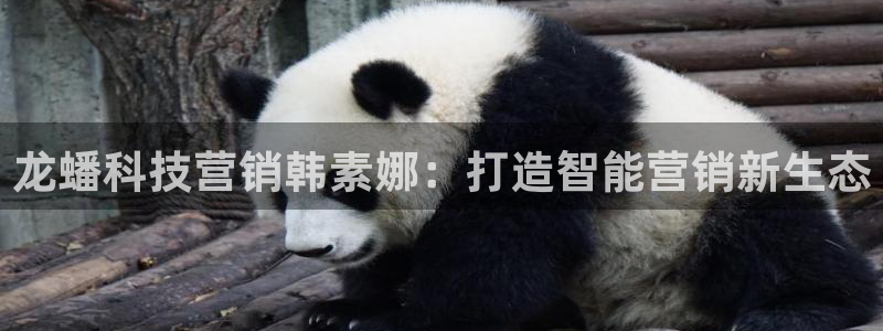 jinnianhui金年会世界杯