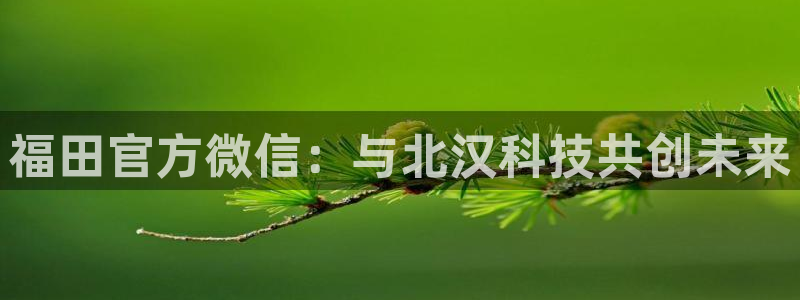 金年会vip网页版在线登录入口下载