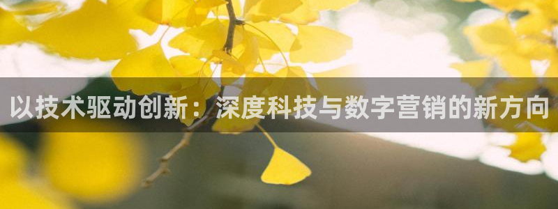 金年会体育娱乐