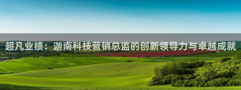 金年会电子游戏